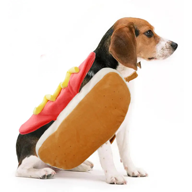 Hamburger Pet Costume for Halloween